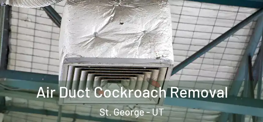  Air Duct Cockroach Removal St. George - UT