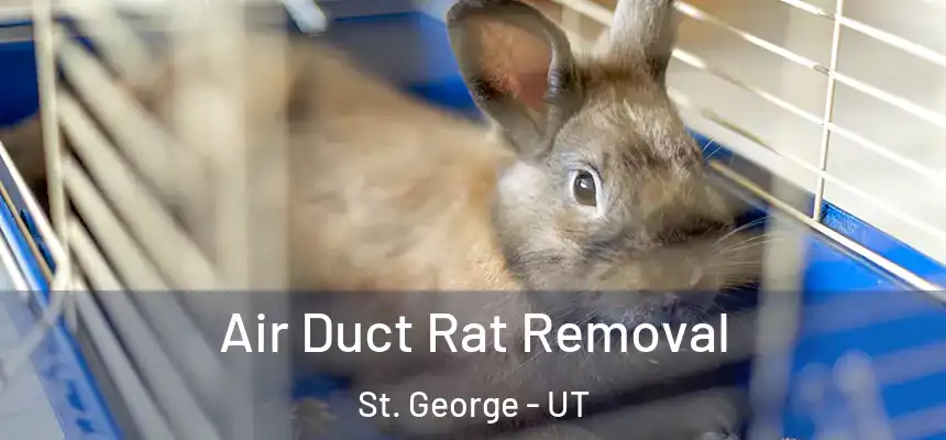  Air Duct Rat Removal St. George - UT