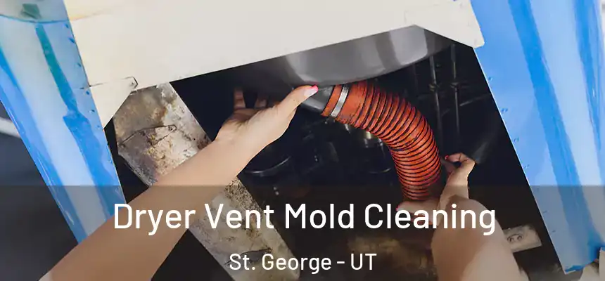  Dryer Vent Mold Cleaning St. George - UT