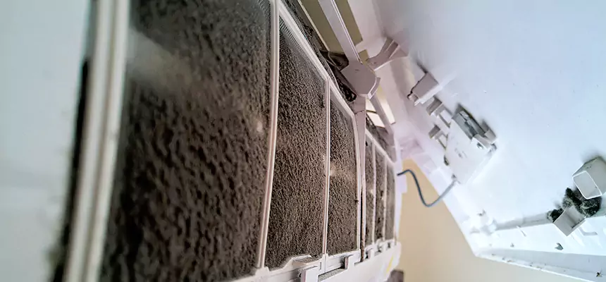 Preventive Air Duct Bacteria Removal in St. George