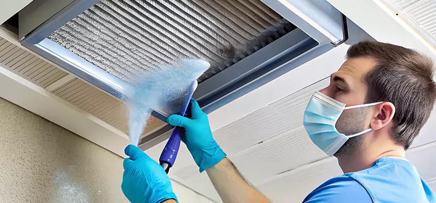 Proactive Dryer Vent & Auxiliary Duct Pollen Cleanup in St. George, UT