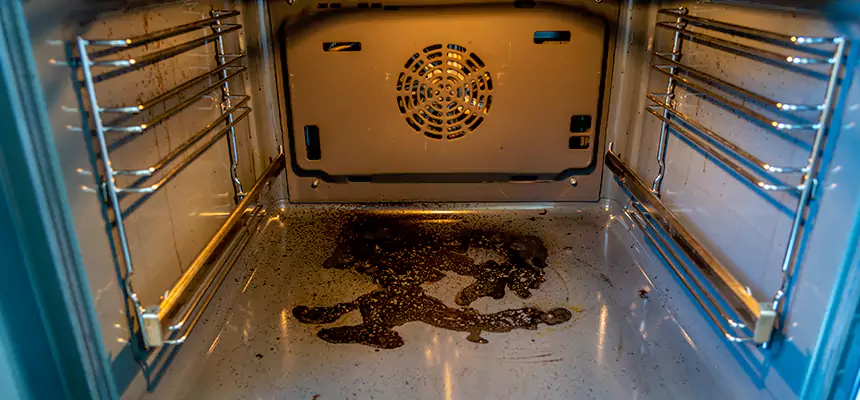 Our Dryer Vent Mold Cleaning Services in St. George, UT