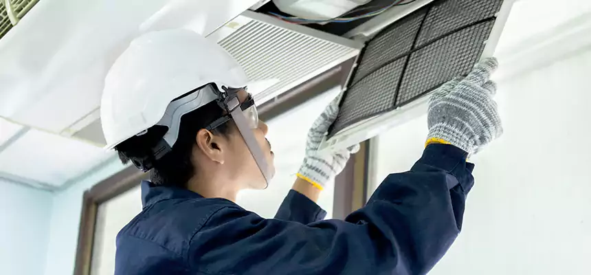 Our Mold & Mildew Removal from Air Ducts Services in St. George, UT