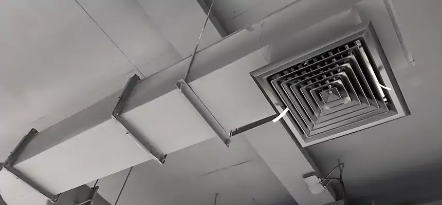 Our Pest Removal From Ducts Services in St. George, UT