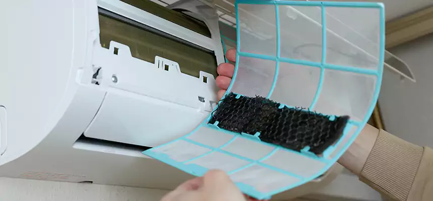 Gentle Ductwork Odor-Control Pet Dander Duct Cleaning in St. George, UT