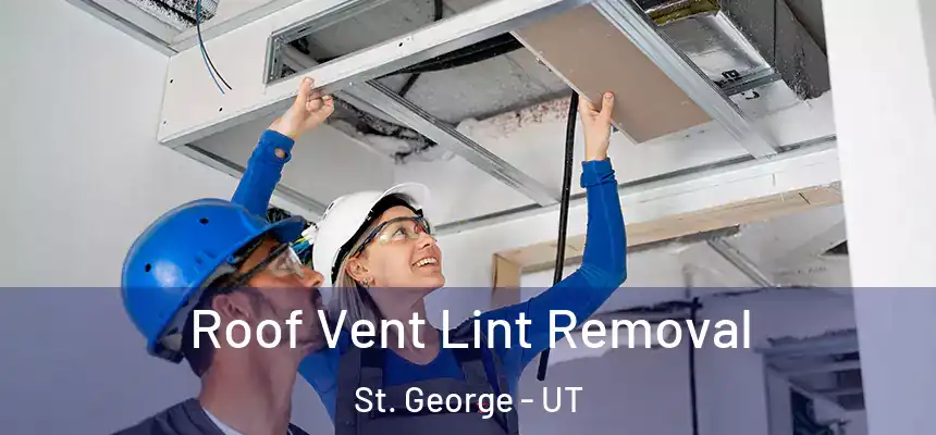  Roof Vent Lint Removal St. George - UT