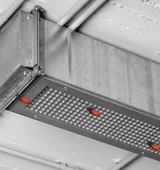 About Air Duct Cockroach Removal in St. George, UT