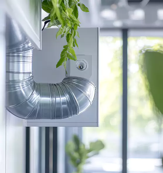 Professional Eco-Safe Dryer Vent Cleaning in St. George, UT