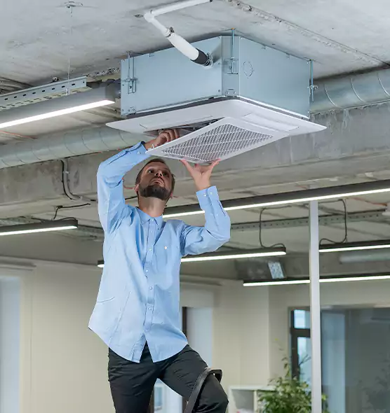 Advanced Rodent Droppings In Vents in St. George, UT