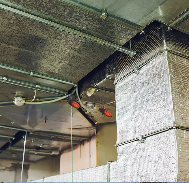 Why Homeowners & Businesses Trust Us in St. George, UT?