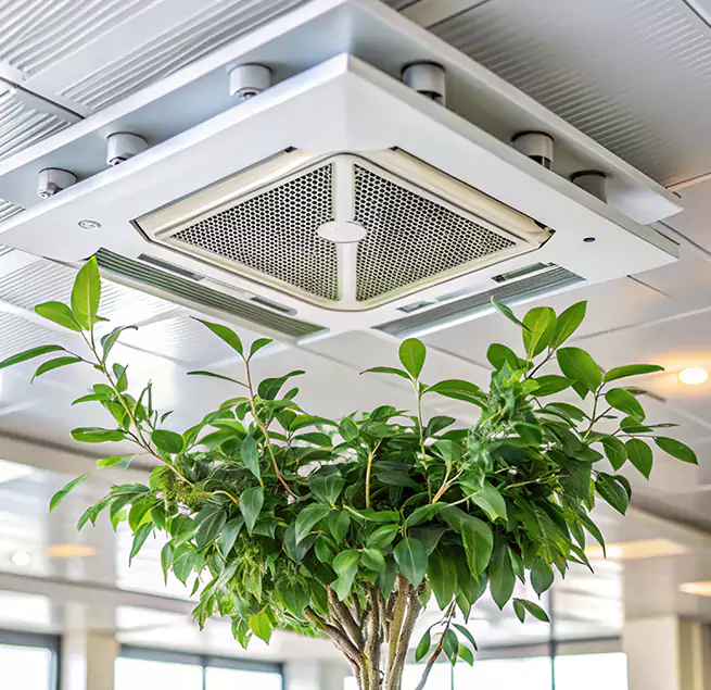 Why Homeowners & Businesses Trust Us in St. George, UT